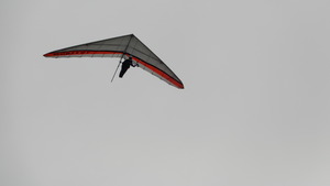 DSCN4498