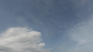 533506939_1214866933776612_1094384007287904971_n