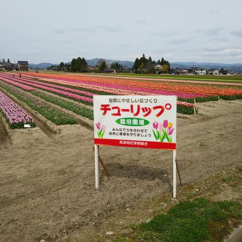 IMG03090