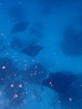 5A045B8F-2736-42EA-B313-4B841CA24EB7