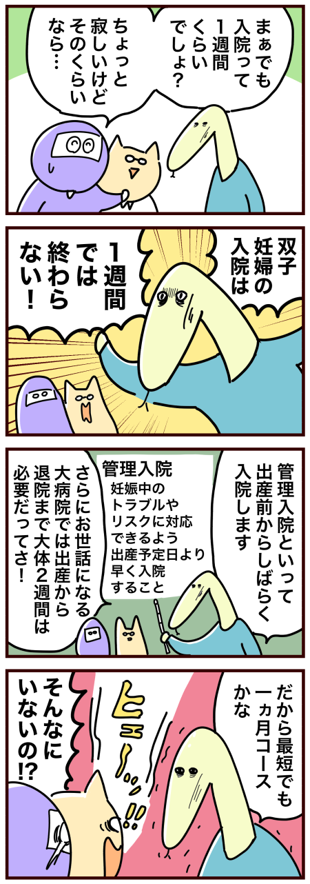 長いよ 双子妊婦の入院期間 双子妊娠記録16 おばバカ日誌 Powered By ライブドアブログ