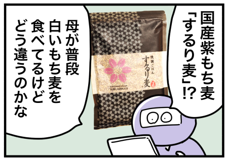 するり麦1