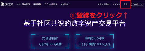 BKEX1