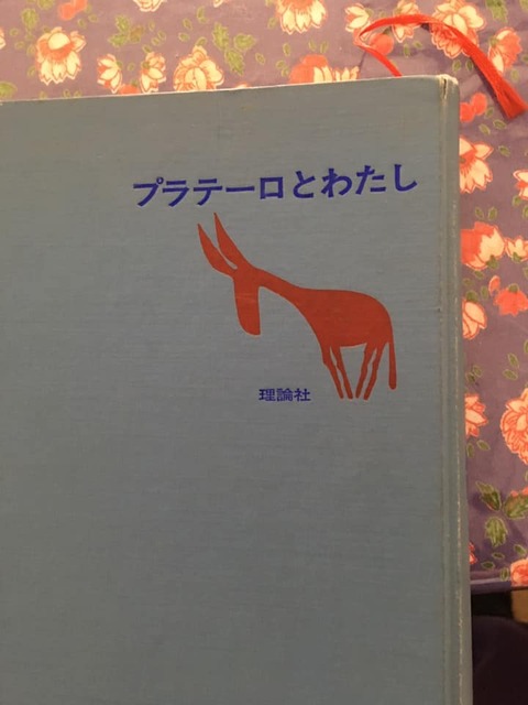 58737427_1974823009312657_5860611350748725248_n