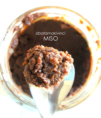 Miso Rosso