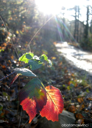 un tocco di colore