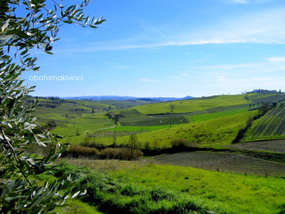 Vista dall'Oliveto