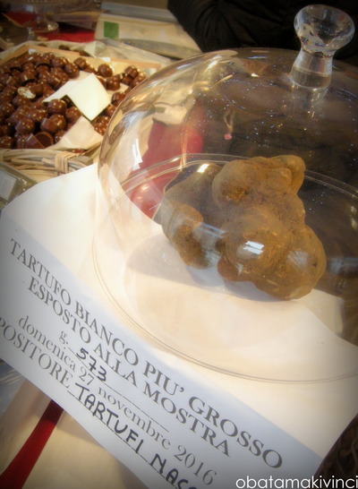 Tartufo Bianco più grosso