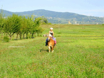 Cavallo a Vinci