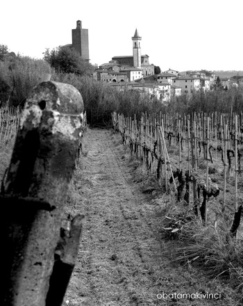 Bianci e Rosso verso Vinci cornice