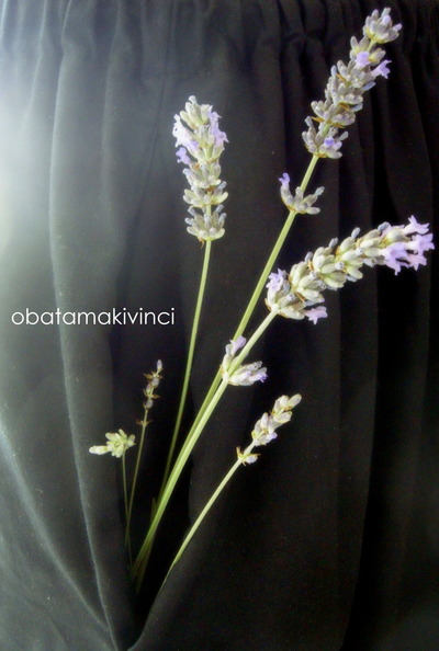 Tasca con Lavanda luce