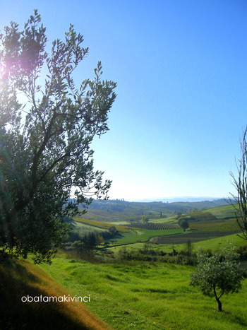 Giornata di Raccolta