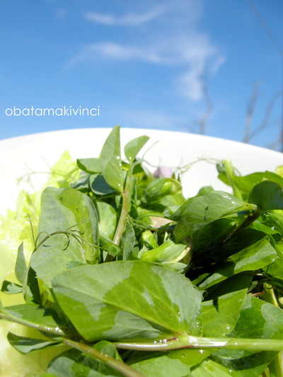 Insalata mista con Cima di Piselli