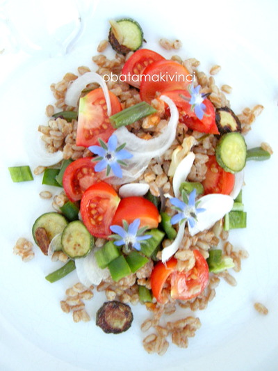 Insalata di Farro