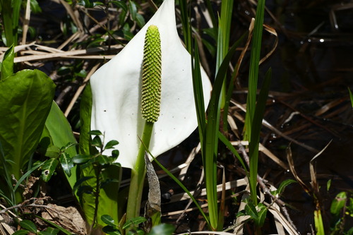 P1060266