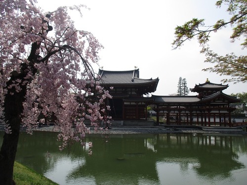 IMG_2531 - コピー