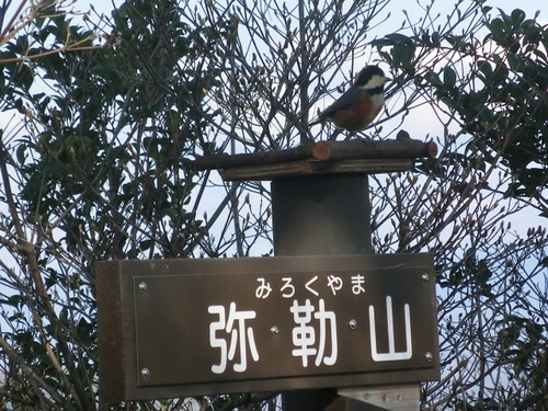 CIMG0024