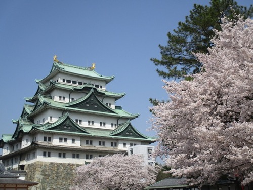 IMG_2507 - コピー