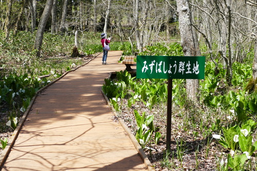 P1060267