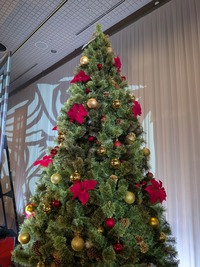 PXL_20251221_041545734_exported_747_1766379010319