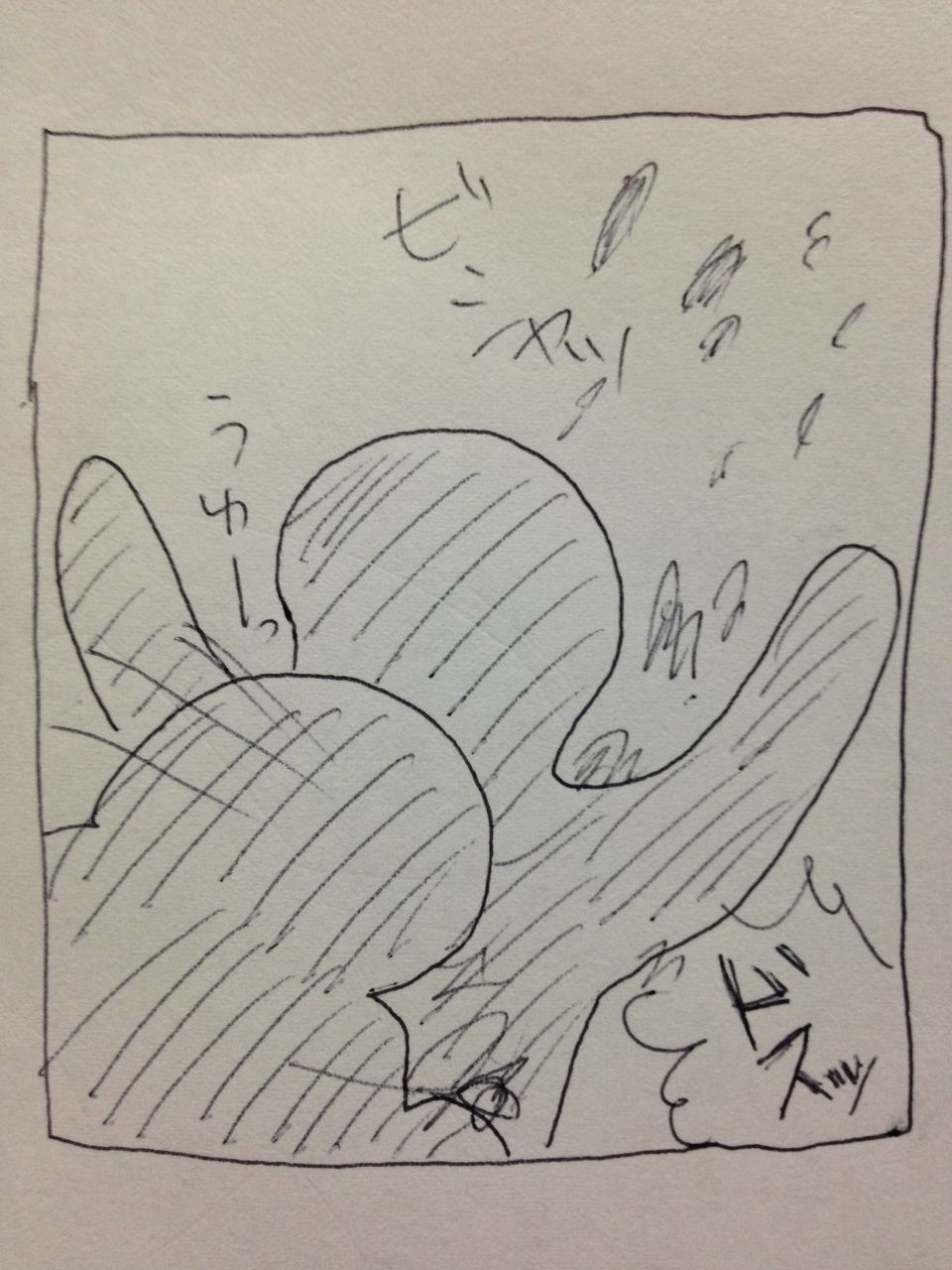 壁紙を磨いてみたよ 汚部屋の匠 壁紙を磨いてみたよ 汚部屋の匠