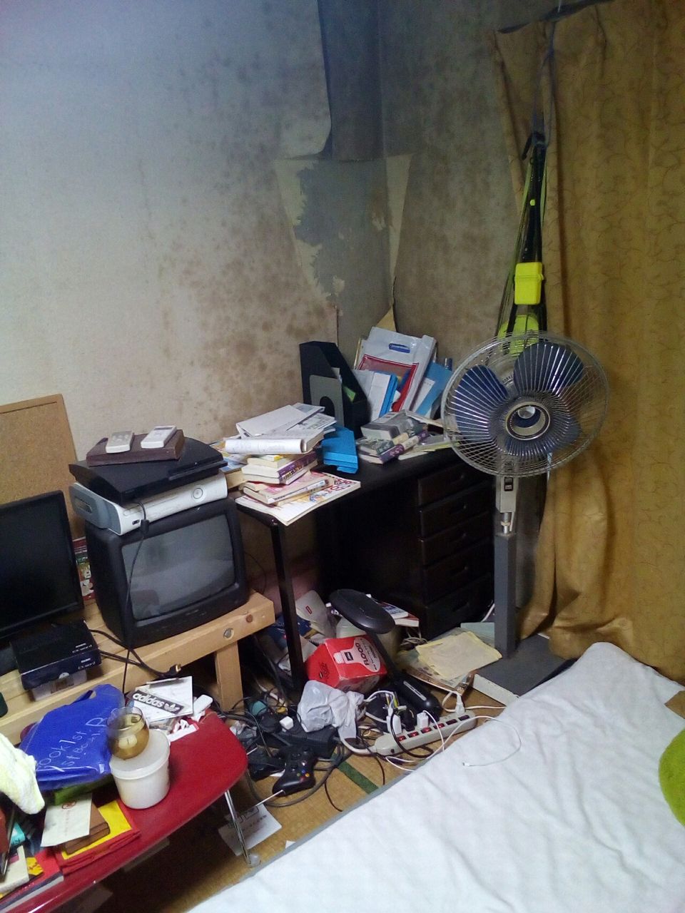 毛だまり毛玉ホコリ玉 30歳みなしご女の汚部屋からの脱出 荷物にうもれる砂の女 4年後日記