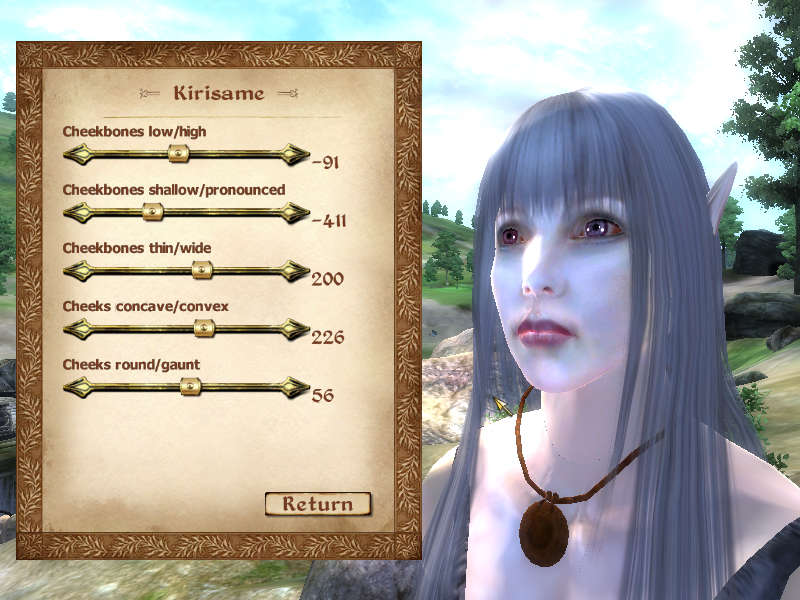 キャラメイクその1 エルフ生成 Oblivion エルフの耳 キャラメイクその1 エルフ生成 Oblivion エルフの耳