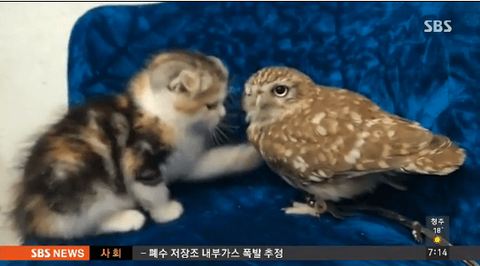 ダウンロード (2)