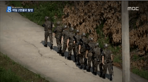 ダウンロード (2) (3)