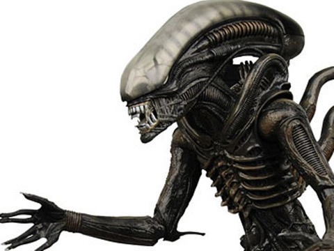 201702061616587844_img_0_99_20170206165502