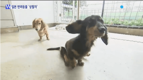 ダウンロード (5)