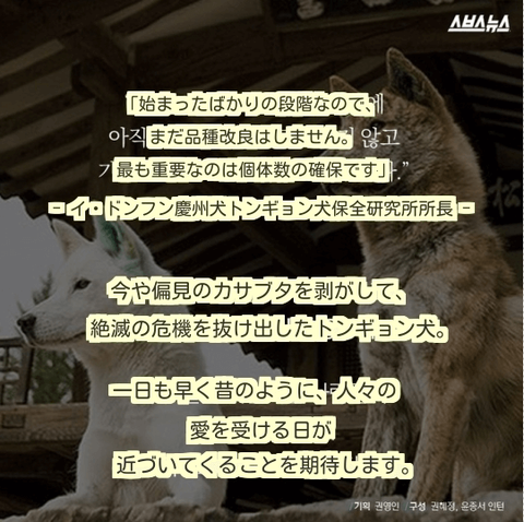 ダウンロード (14) (1)