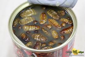 201406090349776929_5394b06293c7e_99_20140609060803