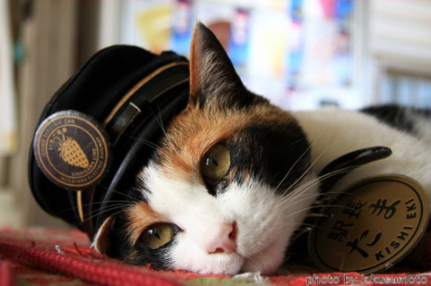 20150717010329090410011_b_99_20150717163305