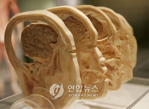 PYH2017020542760007300_P2_99_20170205185504