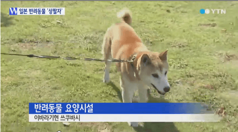 ダウンロード (3)