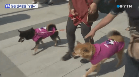 ダウンロード (8)