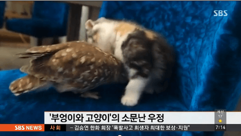 ダウンロード (4)