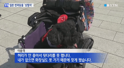 ダウンロード (9)