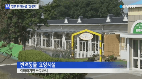 ダウンロード (2)