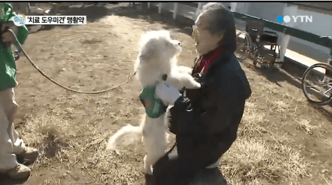 ダウンロード (11)