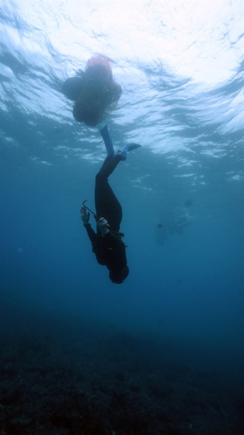 201609121656_61130010925069_2_99_20160912165705