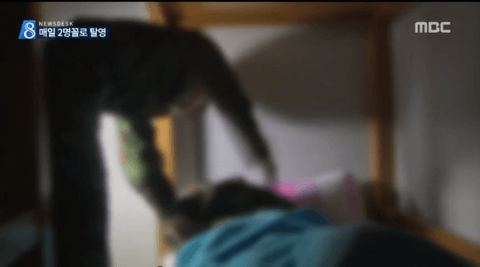 ダウンロード (3) (3)