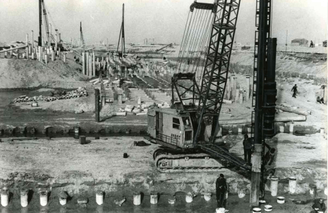 ダウンロード (11) (1)