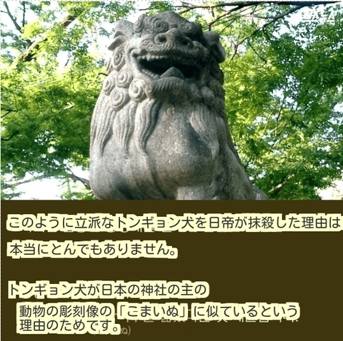 ダウンロード (5) (1)