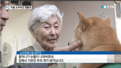 ダウンロード (9)