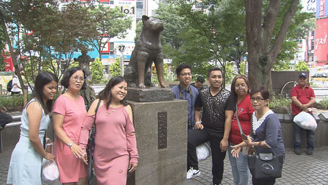 2TK89m1zJsM2gGO1513843337_1513843543