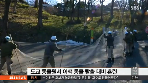 ダウンロード (2)