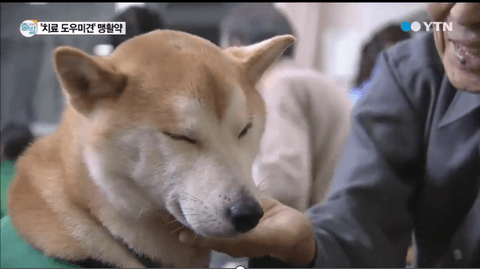 ダウンロード (8)