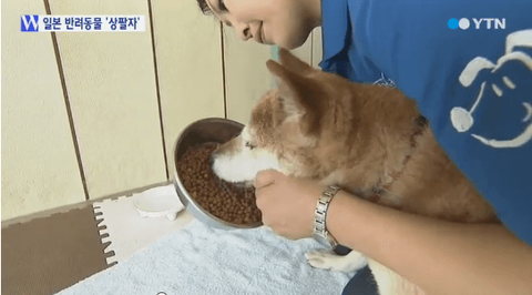 ダウンロード (4)